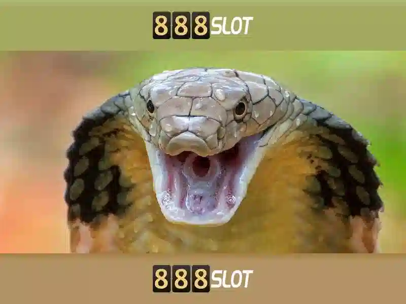 Sản phẩm và dịch vụ chính