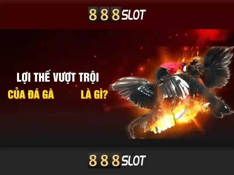 luk 888 slot – tổng quan chủ đề và giá trị cốt lõi