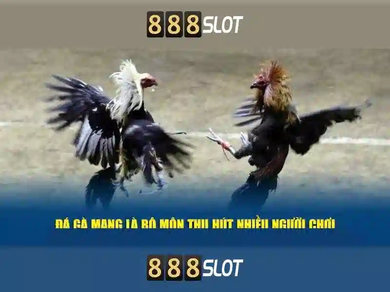 An toàn và bảo mật tại 888slot\n<h>Hướng dẫn tham gia và thanh toán tại 888slot</h>\n<p><span style=
