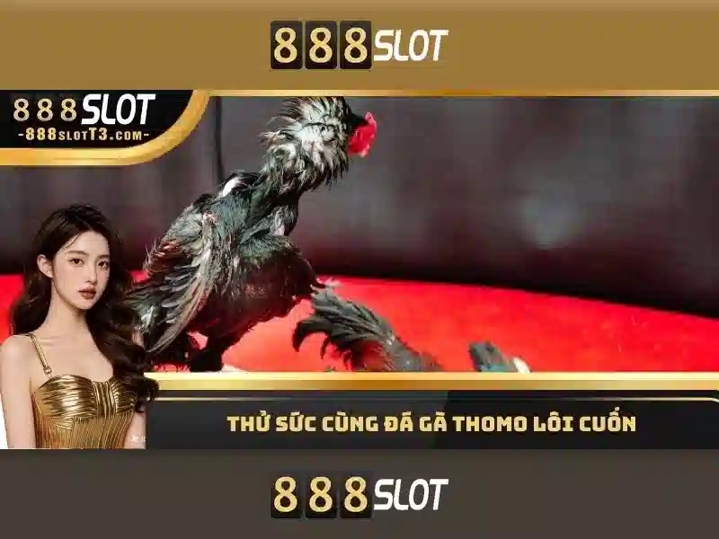 Đánh giá và trải nghiệm