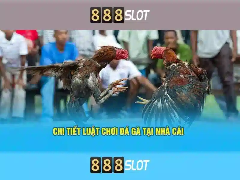 Khám phá slot và bảng điều khiển tại 888slot
