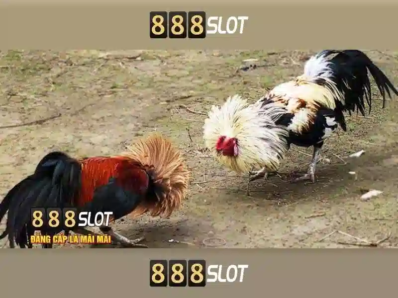 Tính năng nổi bật