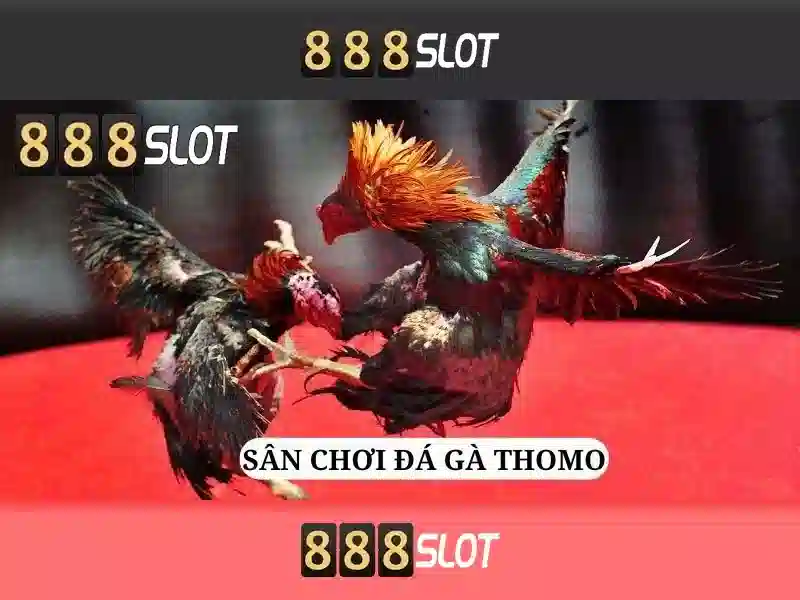 Giới thiệu về 888slot