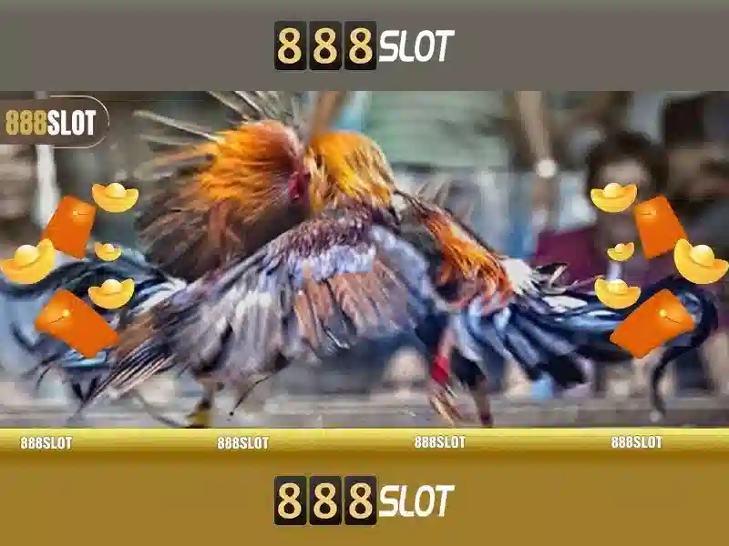 Hỗ trợ khách hàng và thanh toán