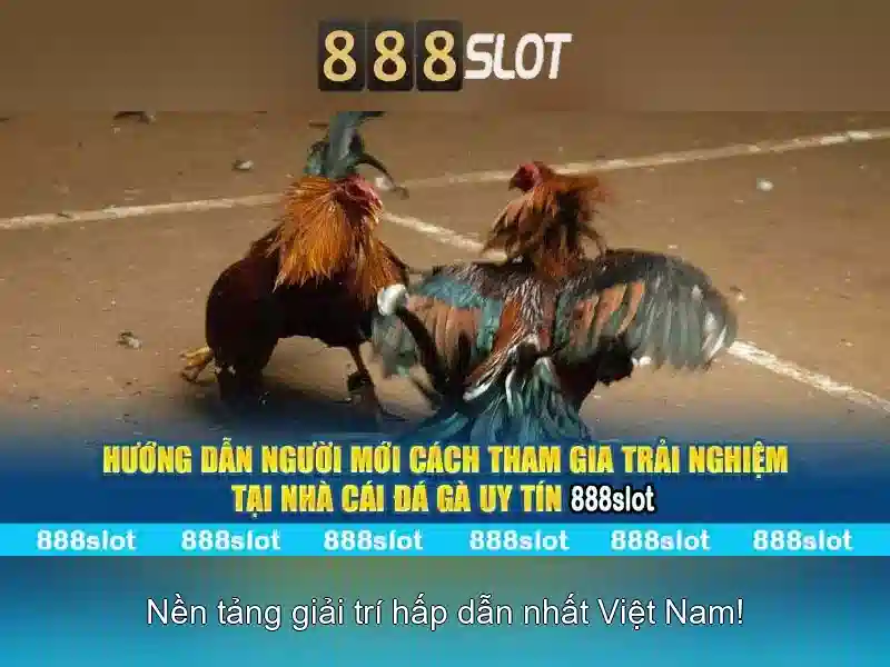 Trò chơi và nhà cung cấp