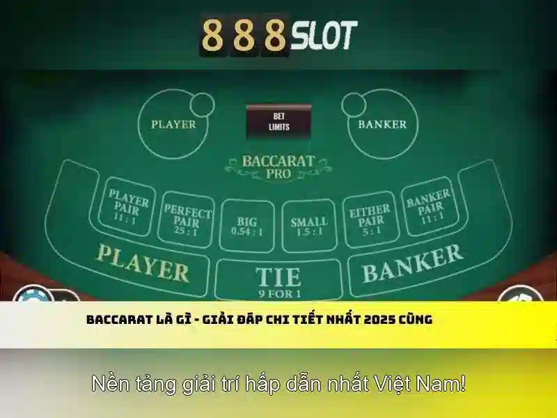 Giới thiệu về 888slot