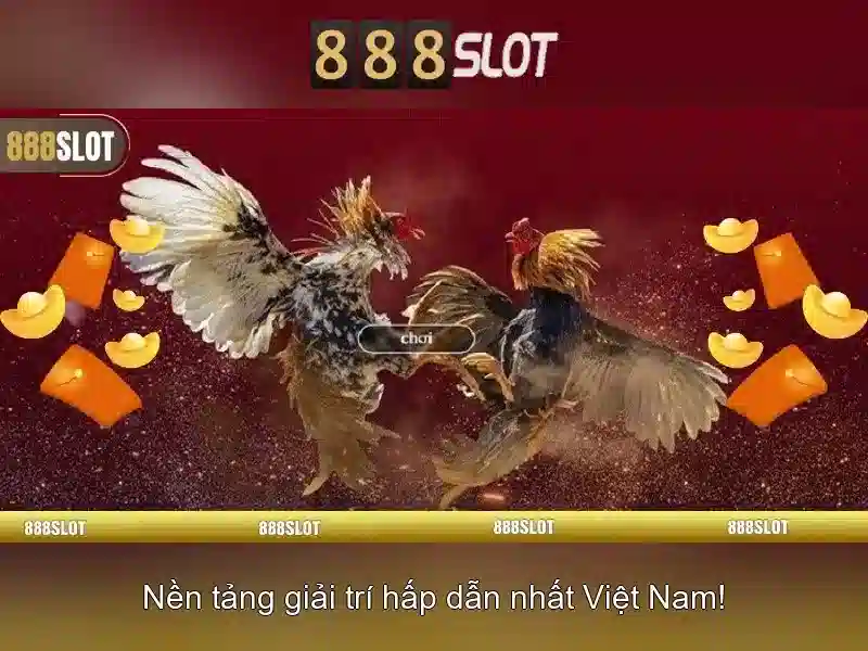 Trải nghiệm người dùng và giao diện