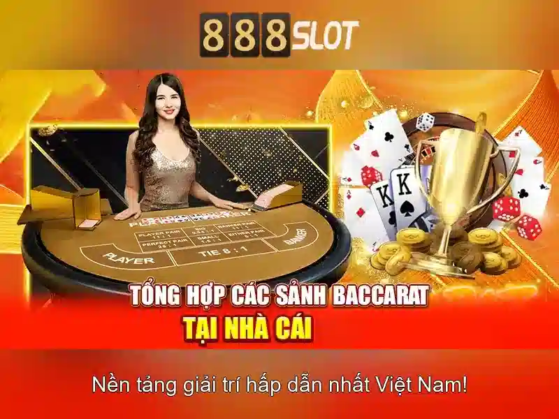 Khuyến mãi và chương trình thưởng